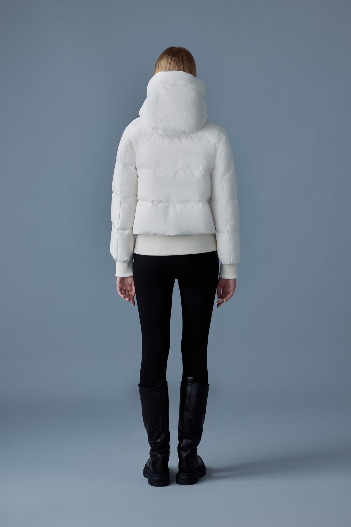 NEFI-NF